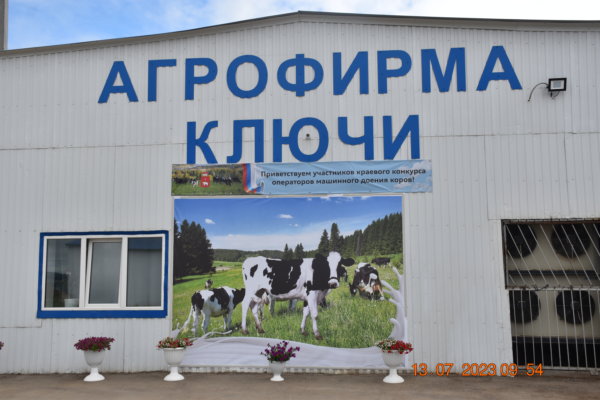 Краевой конкурс на лучшего по профессии среди операторов машинного доения коров-2023
